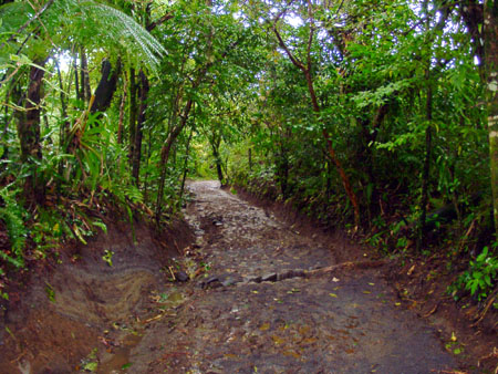 arenal walk
