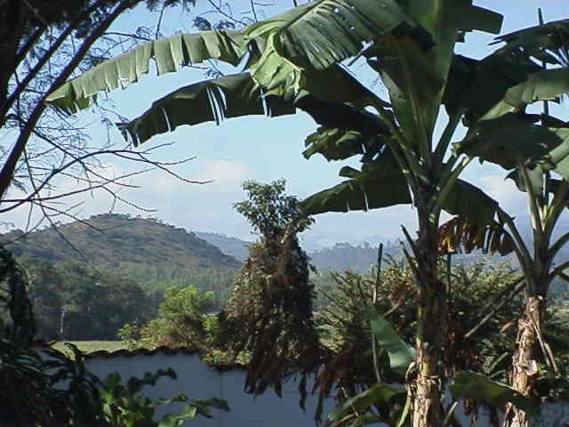 View from Casa de Cafe