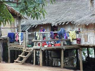 Palong house