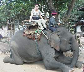 Kristina on elephant