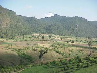 View from elephant