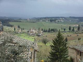 Under the Tuscan Sun...