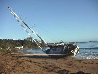 washed ashore