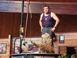 Shearing demonstration