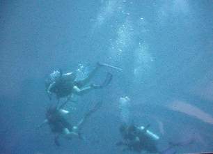 into the deep.....