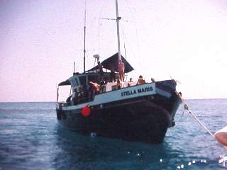 the Stella Maris