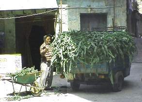 Artichoke vendor