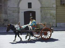 Donkey Cart