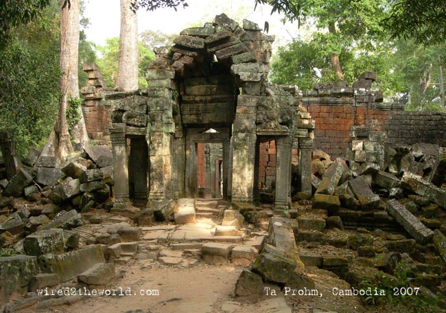 Post image for Favorite Photo Friday-Ta Prohm Temple, Cambodia