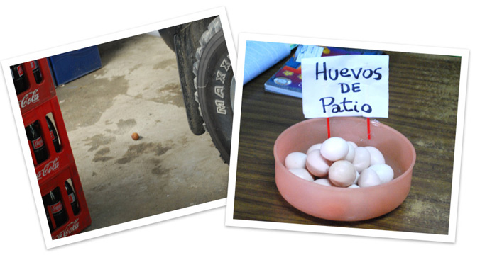 huevosdepatio
