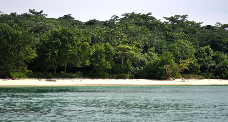 Post image for Isla Contadora, Panama Day 4-Survivor, Snorkeling and the Whales