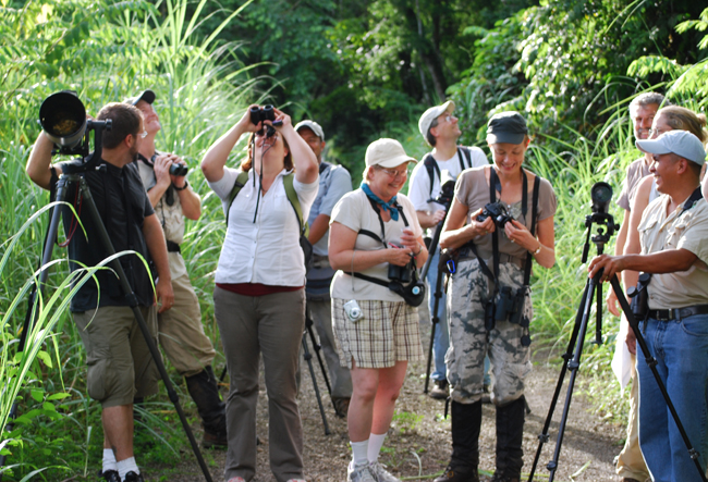 seriousbirders