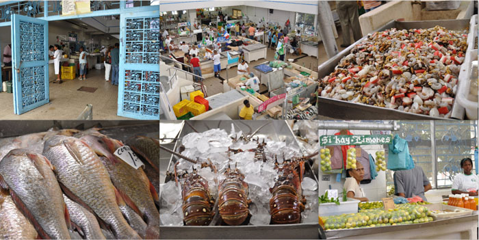 panamafishmarket2