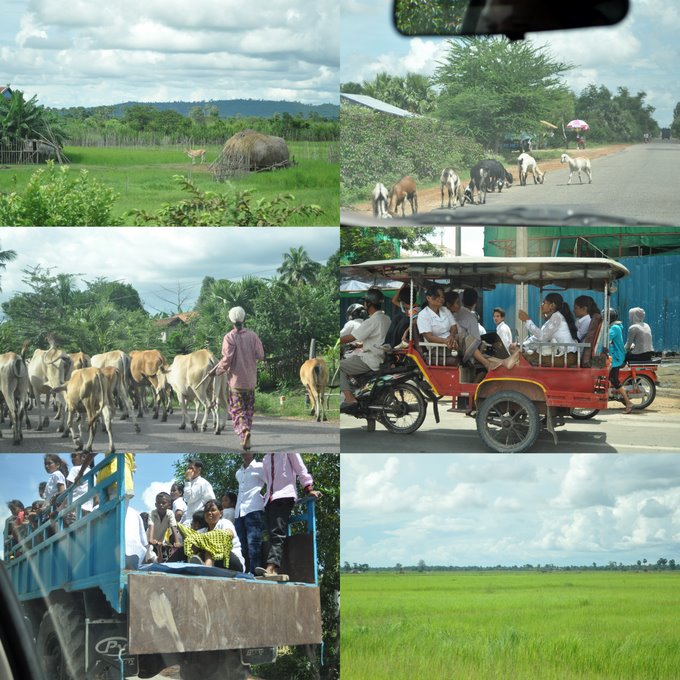 PProadscenes