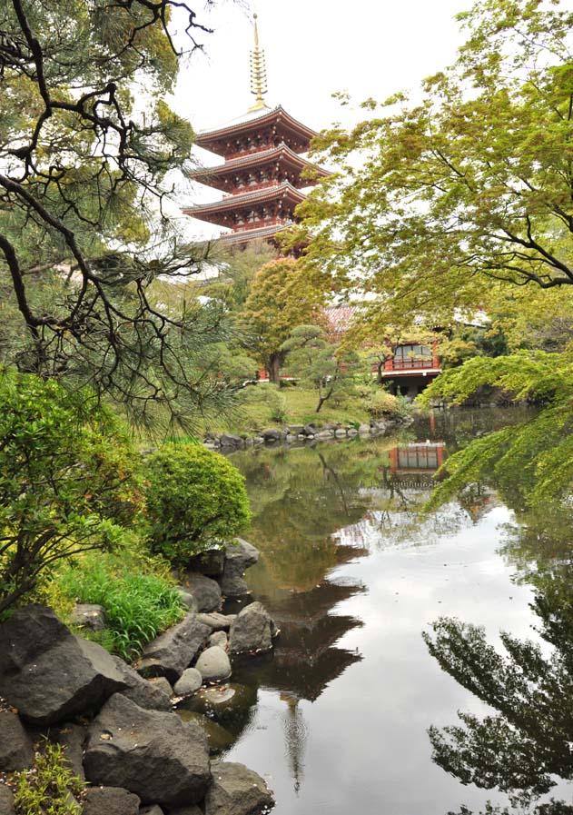 A view of the Five-Story Pagoda from inside the monk's private garden.