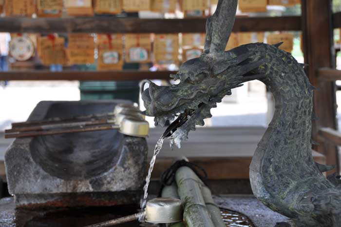 Post image for Nara Japan; Sacred Deer, Todai-ji Temple and Lunch in a Bus Station