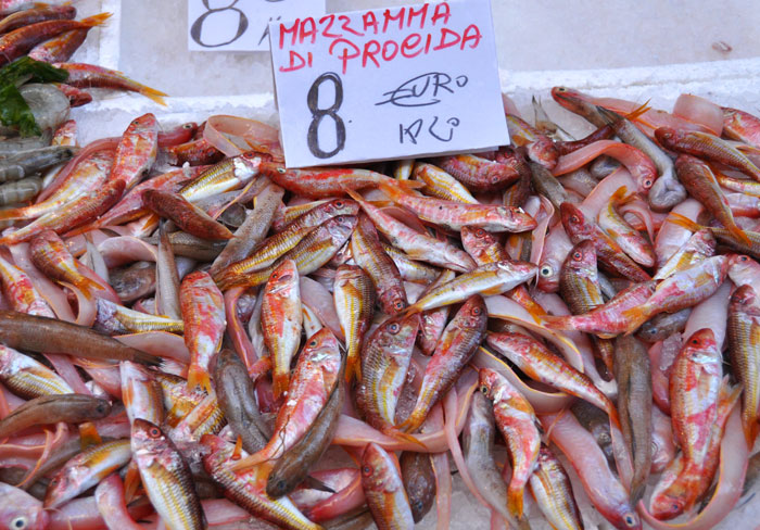 Post image for Naples Porta Nolana Fish Market and Piazza Dante Farmer’s Market
