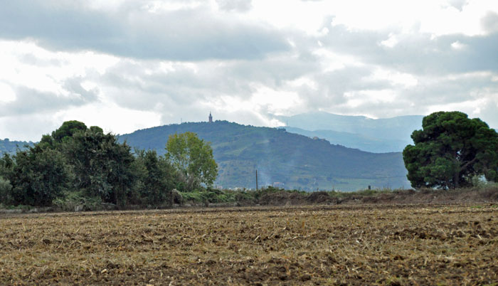 BarlottiField Field behind the farmhouse