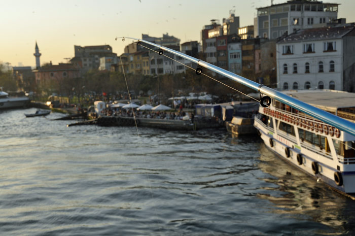 GaletaBridge3