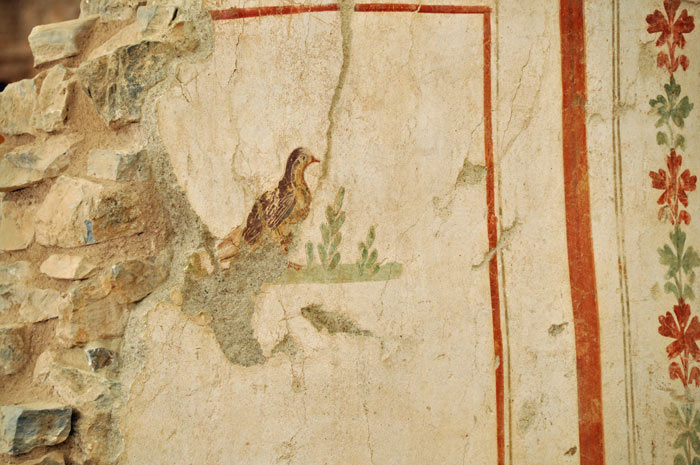 ephesus-terrace-house-bird