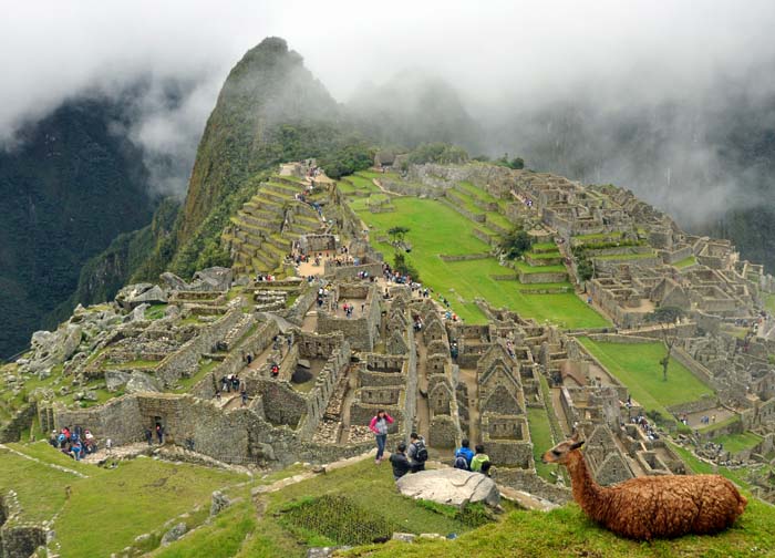 View of Machu Picchu and Llama on www.wired2theworld.com