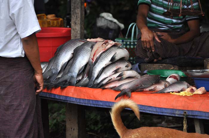 Market on Inle Lake (7)