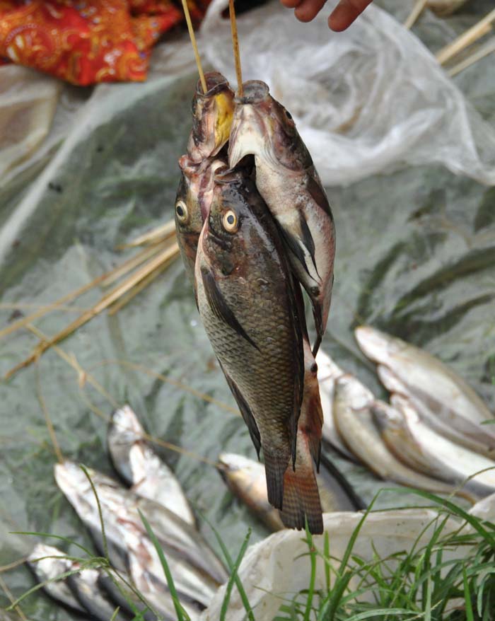 Market on Inle Lake (5)
