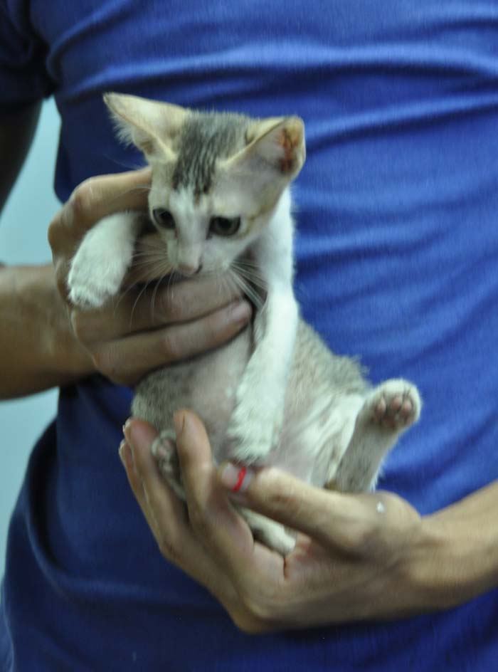 Yangon Food Tour wired2theworld