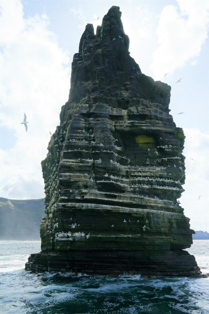 Cliffs Of Moher