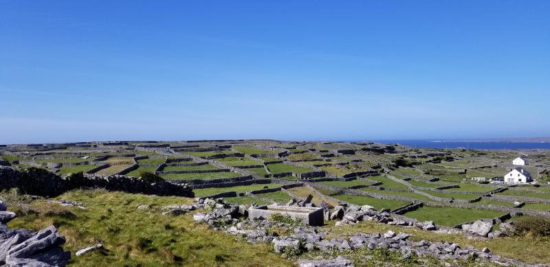 Inis Oirr Fences