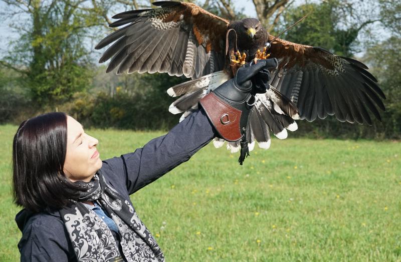 Kristina and the hawk.