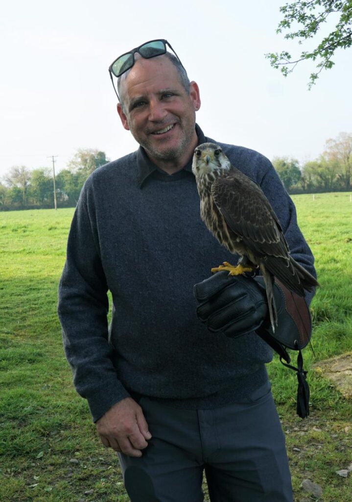 David and the hawk.