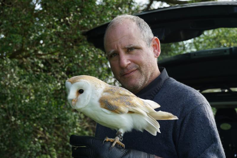 David and the snowy owl