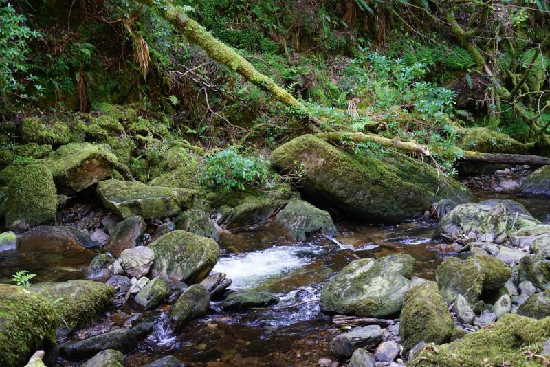 Torc Waterfall