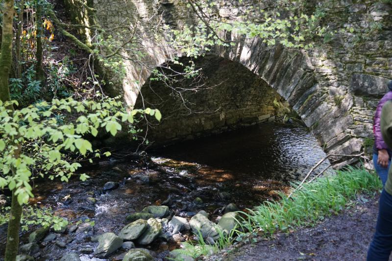 Torc Waterfall