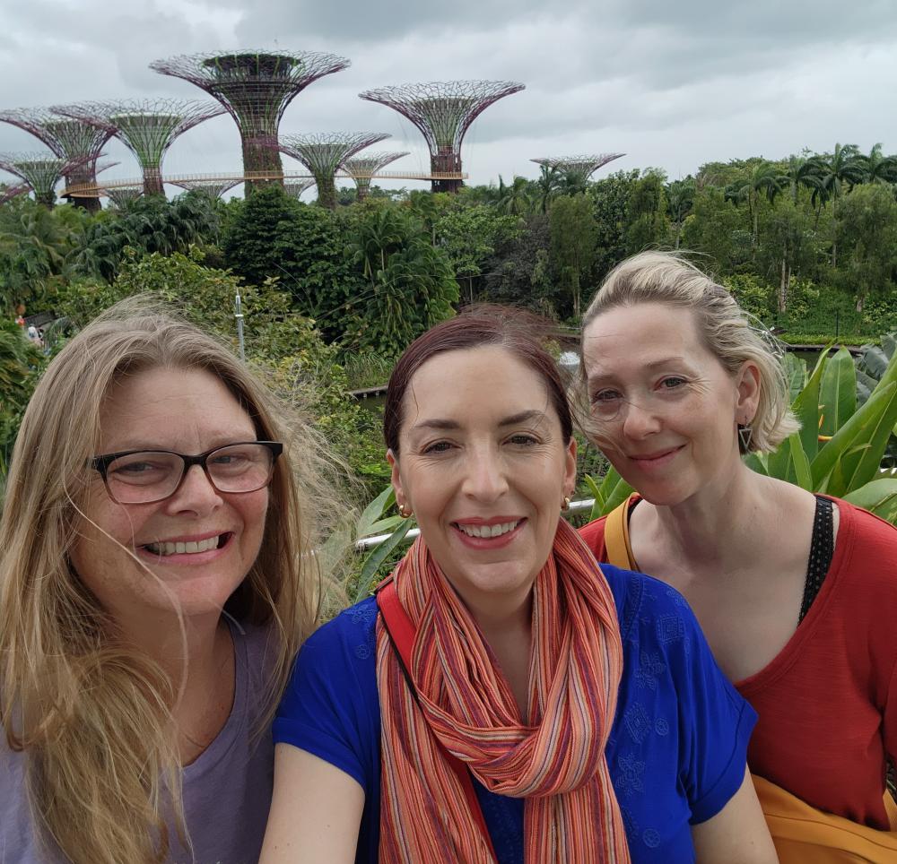 On our way to see Gardens By The Bay
