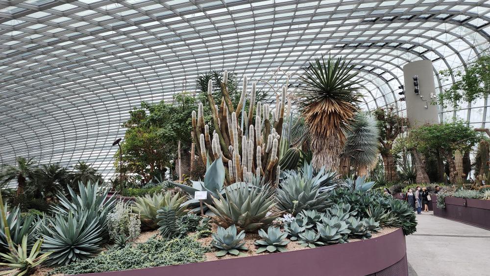 Flower Dome at Gardens By The Bay