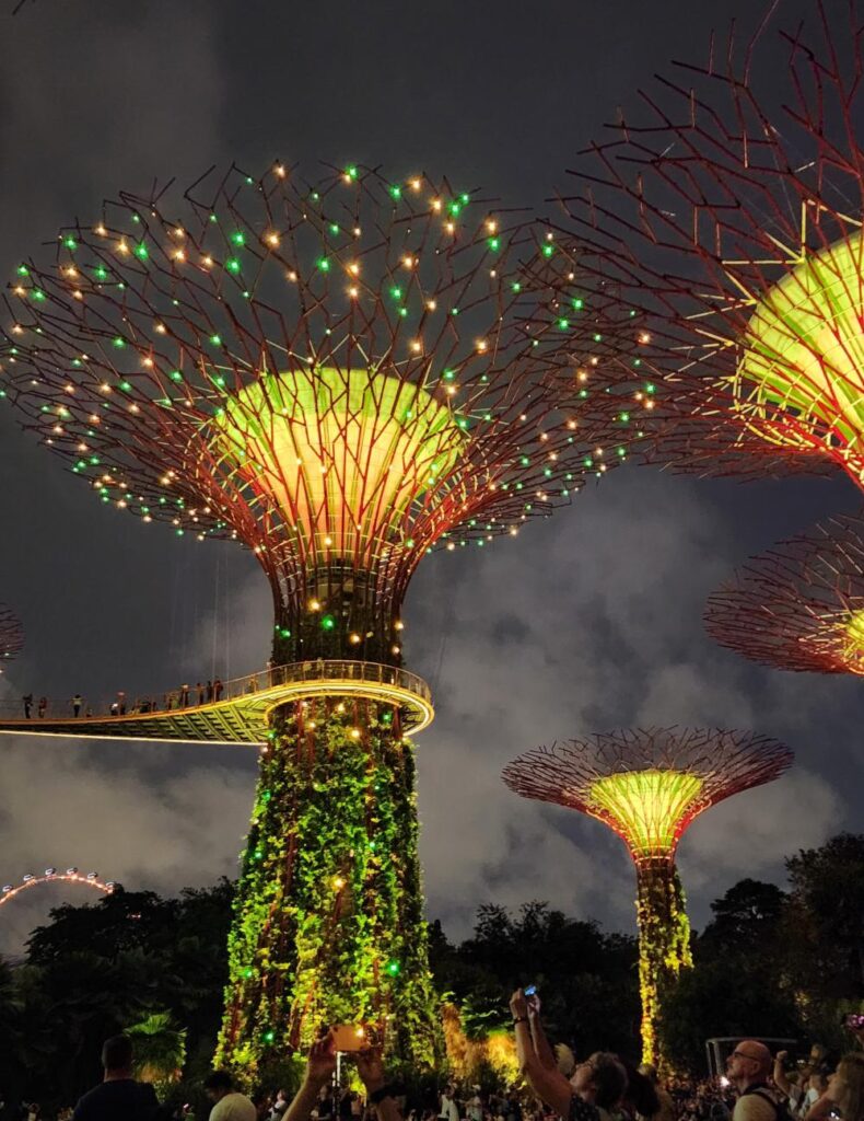 The Supertrees at Gardens By The Bay.