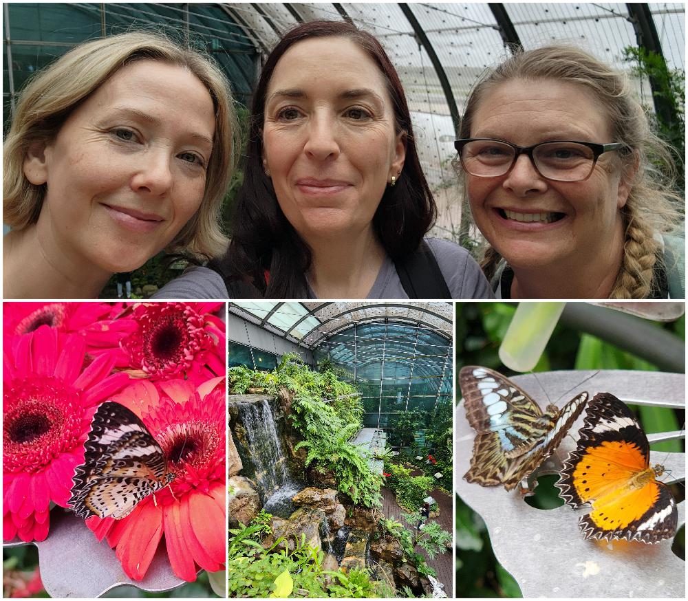 Inside the Changi Airport Butterfly Garden