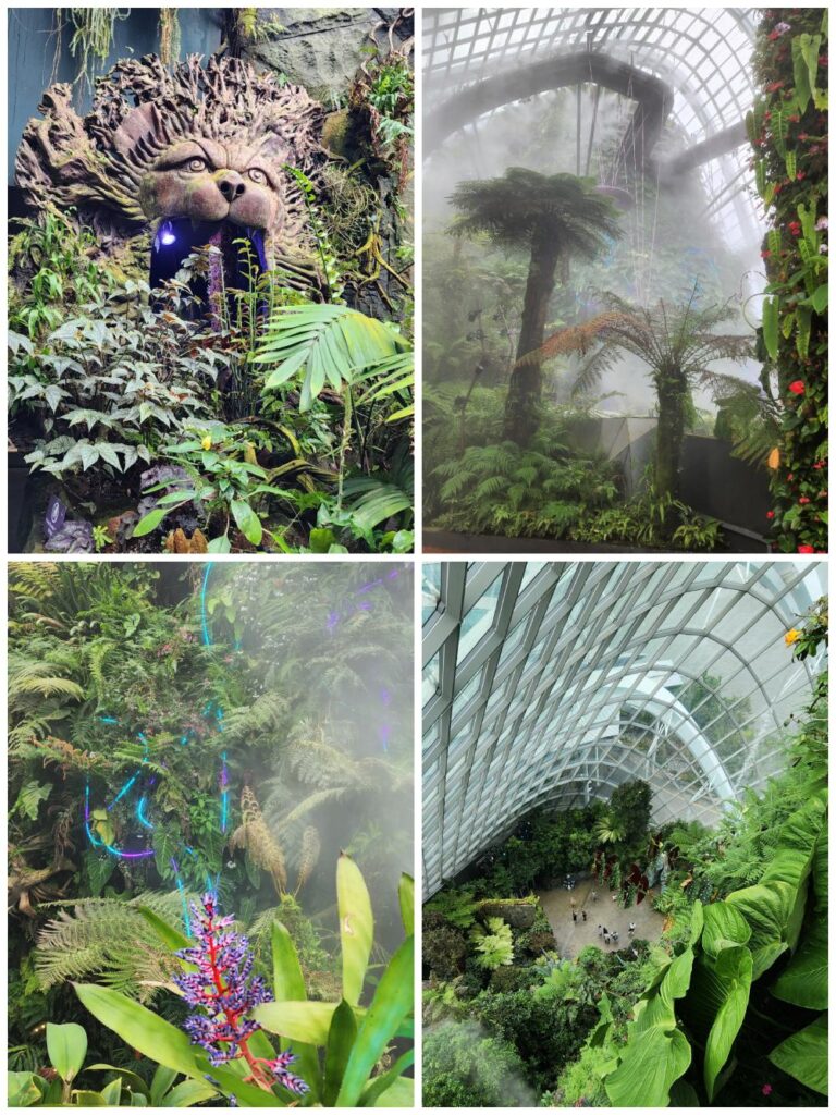Inside the Cloud Forest at Gardens by the Bay