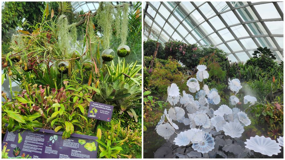 Inside the Cloud Forest at Gardens by the Bay