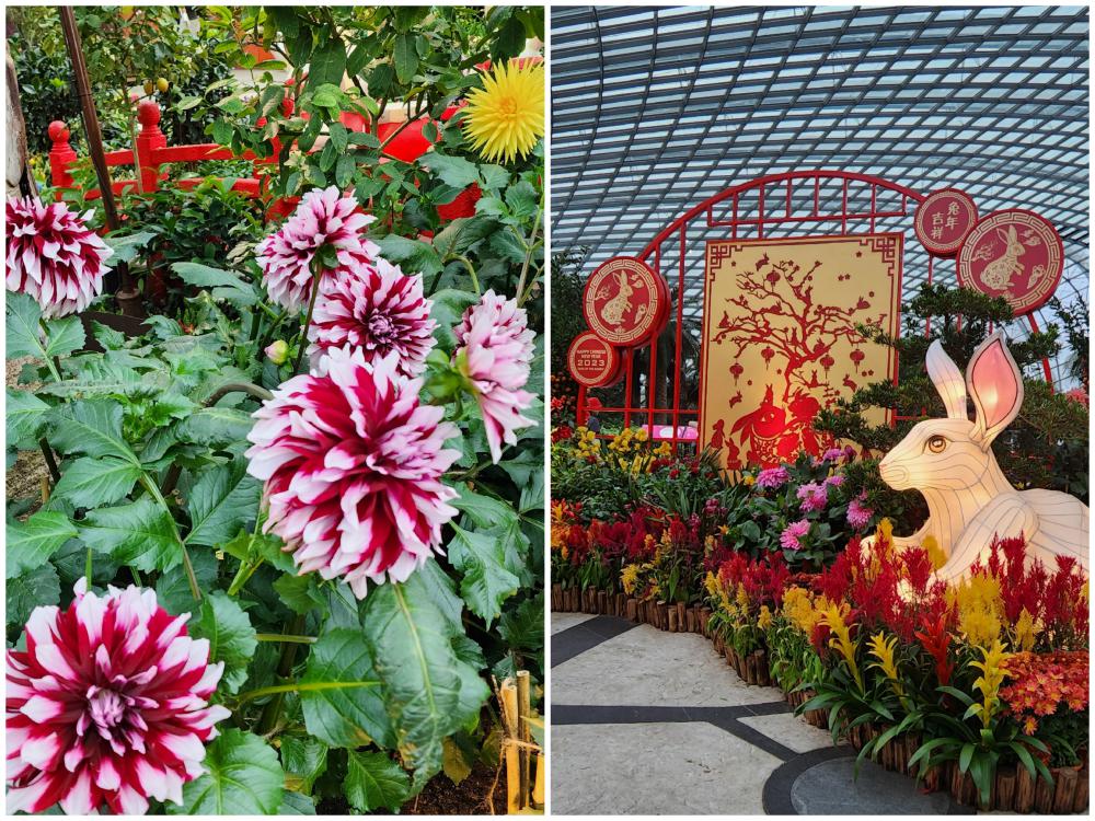 Flower Dome at Gardens By The Bay