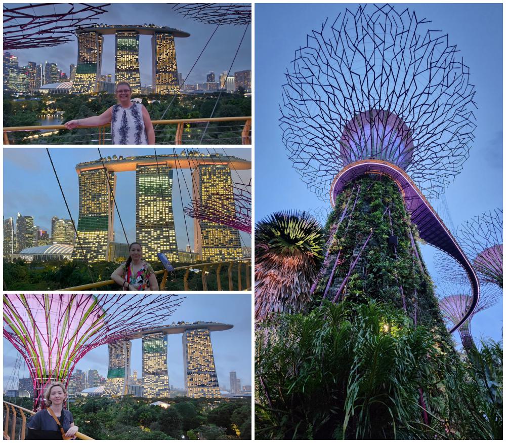 The elevated walkway at the Super Trees at Gardens By The Bay.