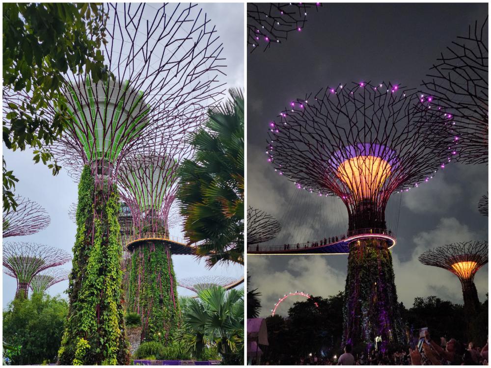 The Supertrees at Gardens By The Bay.