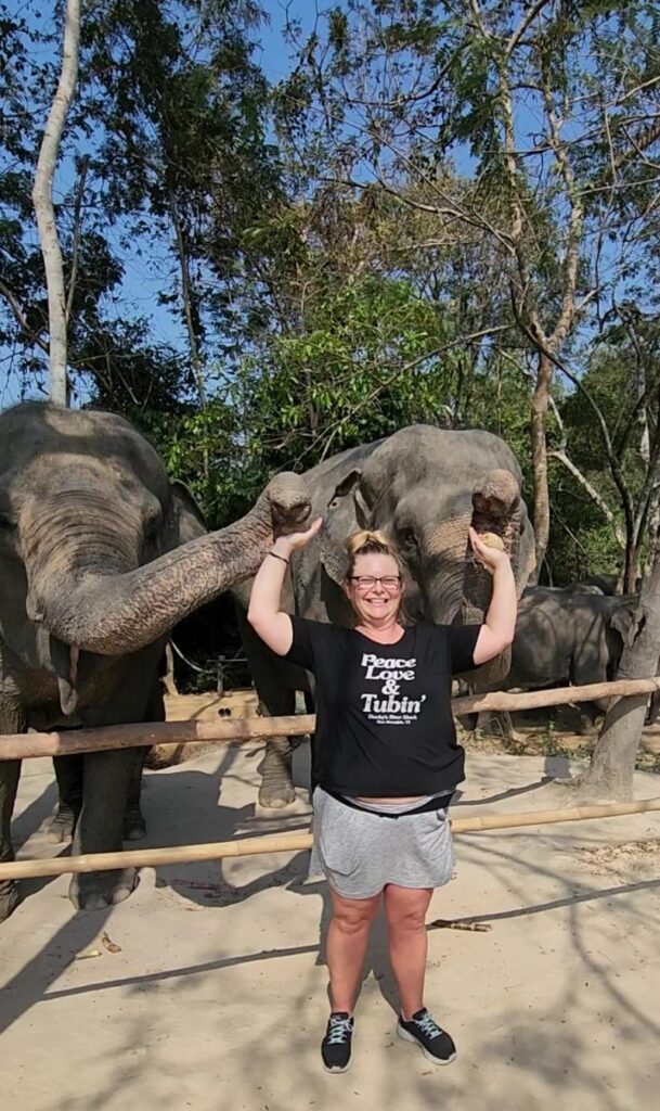 Feeding the elephants