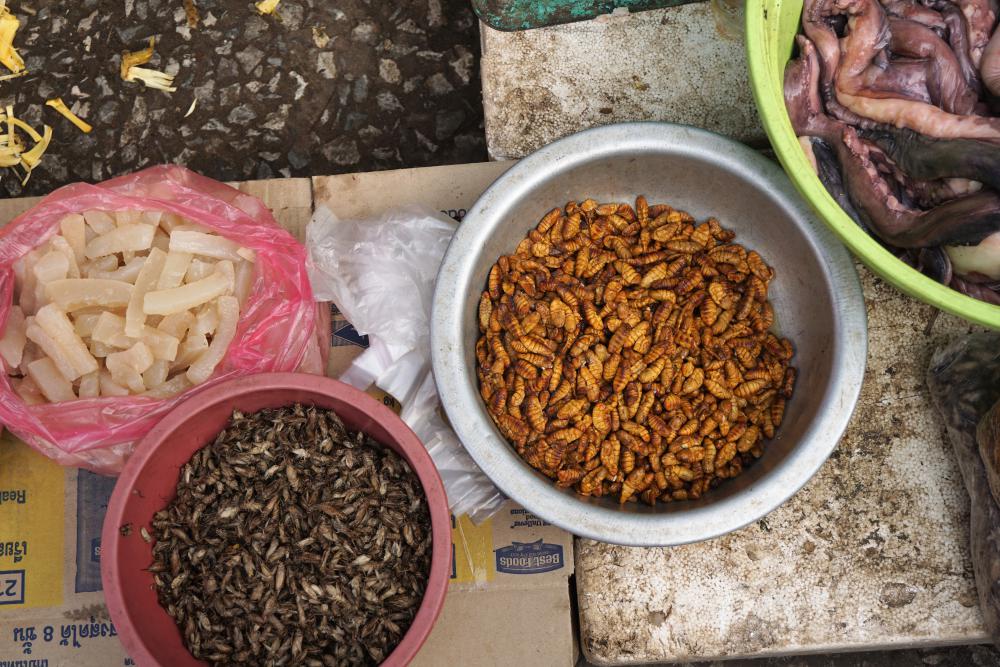 Fried insects for sale in the Siem Reap Old Market