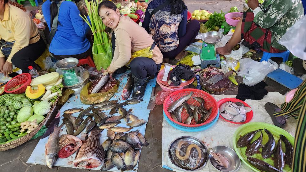 Fish Vendor in the old market in Siem Reap