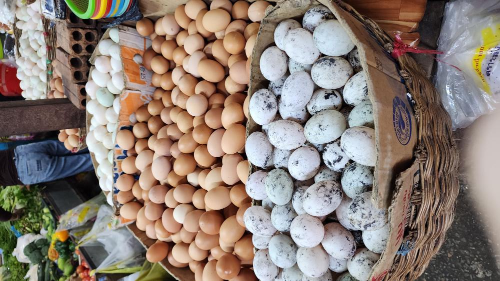 Eggs in the Siem Reap Old Market